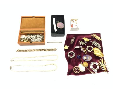 Nineteen vintage brooches, four pairs earrings and swivel charm, small jewellery box and contents Tutankhamun pendant, the fr