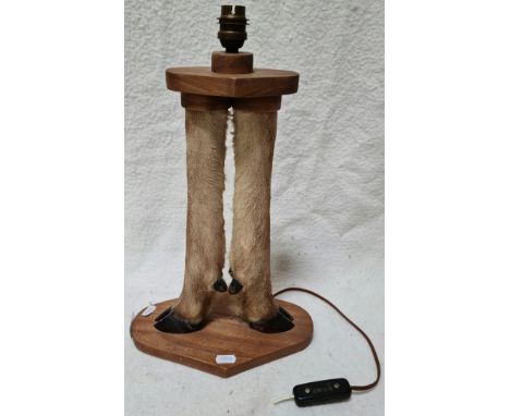 A taxidermy lamp made from a pair of hooves.  