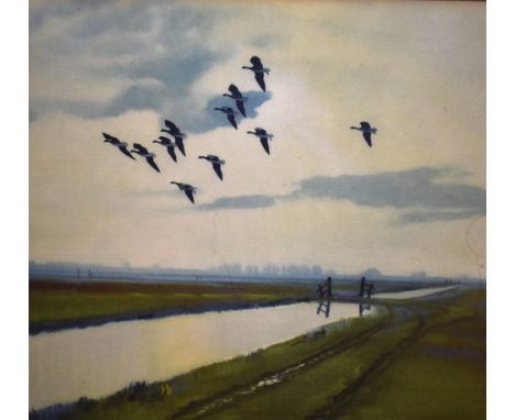 After Peter Markham Scott (1909-1989, British), coloured print, Ducks in flight, mounted, unframed, measuring 30cm x 37cm, &a
