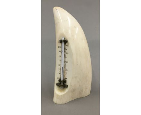 A Victorian whales tooth thermometer