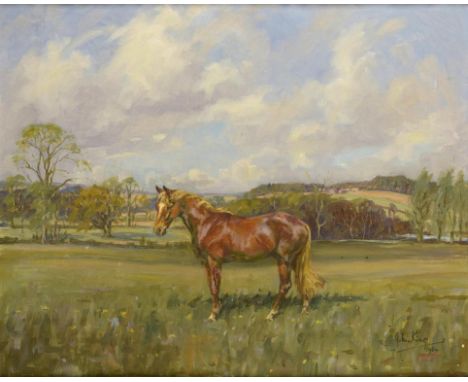 †JOHN GREGORY KING (1929-2014) PORTRAIT OF A HORSE IN A LANDSCAPE  signed and dated 1964, oil on canvas, 39 x 49cm  ++In good