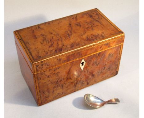 GEORGIAN SMALL BURR WALNUT TEA CADDY INLAID WITH EBONY, STRINGING, KINGWOOD AND BOX EDGING WITH A DIAMOND SHAPED BONE ESCUTCH