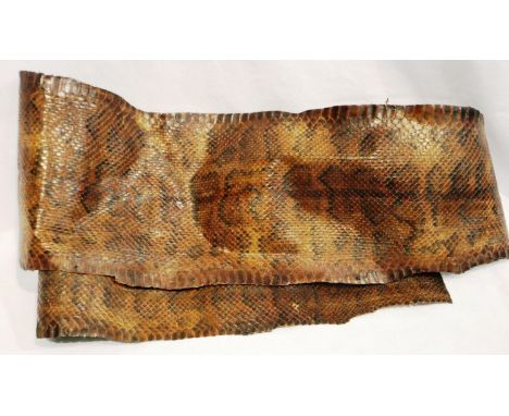Vintage West Indian cobra skin, L: 175 cm. P&amp;P Group 3 (£25+VAT for the first lot and £5+VAT for subsequent lots) 
