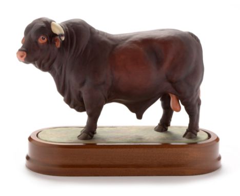 Royal Worcester porcelain figure of a Santa Gertrudis Bull , circa 1961, after an original by Doris Lindner, number 497 of 50