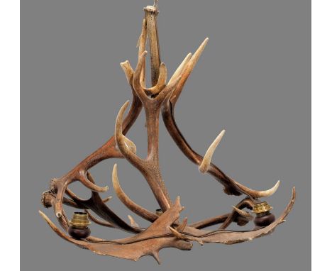 Antler Furniture: A Fallow &amp; Red Deer Antler Mounted Chandelier, circa late 20th century, a Fallow &amp; Red deer antler 