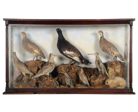 Taxidermy: A Victorian Cased Diorama of British Game Birds, circa 1870-1900, a diorama of various game birds to include - Bla