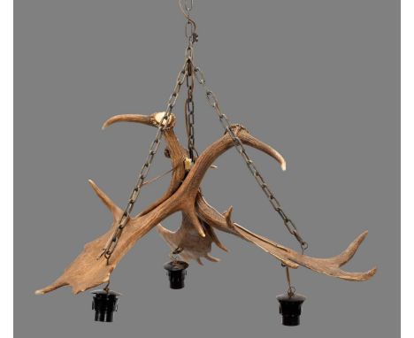 Antler Furniture: A Fallow Deer Antler Mounted Chandelier, circa late 20th century, a Fallow deer antler mounted chandelier, 