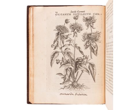 CORNUT, Jacques Philippe (1606-1651). Canadensium plantarum, aliarÃºnque nondum editarum historia cui adiectum est ad calcem 