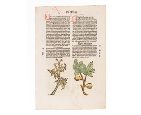 [HERBAL] -- [Hortus sanitatis. De herbis et plantis...] [Strassburg: Johann Pruss, ca 1497?]. &nbsp;Folio (approximately 287 