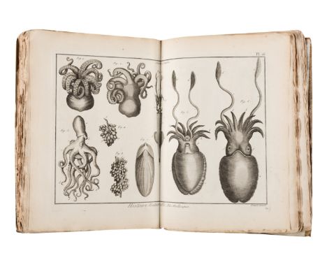 BRUGUIERE, Jean Guillaume (1749-1798). Tableau encyclopedique et methodique des trois regnes de la nature. Contenant l'helmin