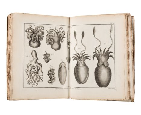 BRUGUIERE, Jean Guillaume (1749-1798). Tableau encyclopedique et methodique des trois regnes de la nature. Contenant l'helmin