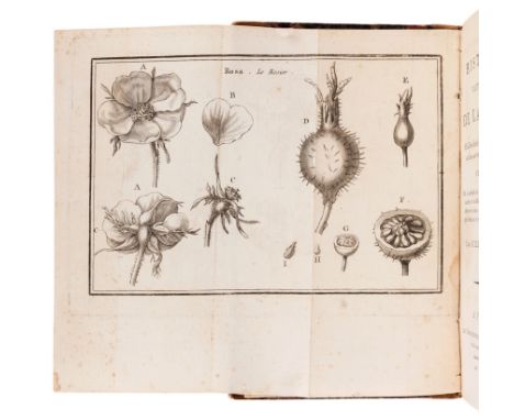 GUILLEMEAU, Jeune ( "Jean Louis Marie") (1766-1850). Histoire Naturelle de la Rose, oÃ¹ l'on decrit ses differentes especes, 