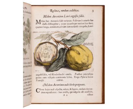 BOCCONE, Paolo (1633-1704). Icones &amp; descriptiones rariorum plantarum Siciliae, Melitae, Galliae, &amp; Italiae. Quarum u