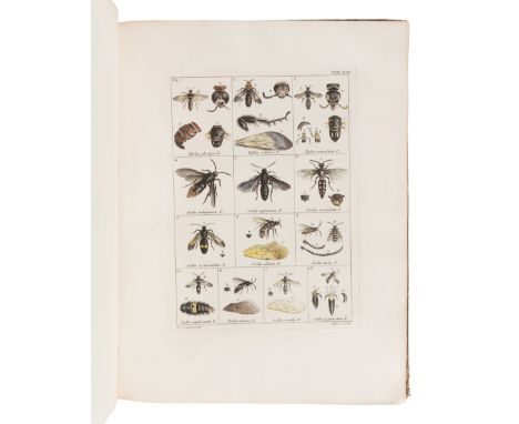 COQUEBERT, Antoine Jean (1753-1825). Illustratio Iconographica Insectorum"¦ Paris: Typis Petri Didot, [1798/9]-1804. &nbsp;3 