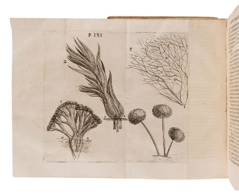 BUONANNI, Filippo (1638-1725). &nbsp; Observationes circa viventia, quae in rebus non viventibus reperiuntur. Cum micrographi