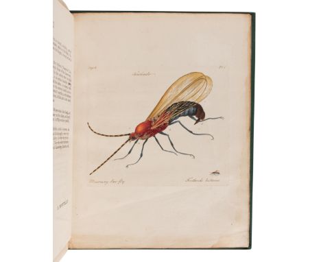 HILL, John, Sir (1716?-1775). &nbsp; A Decade of Curious Insects: Some of them not describ'd before: Shewn in their Natural S