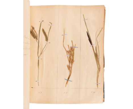 [SPECIMEN ALBUM - HERBARIUM]. DUPOUX, Jacques. "Cahier de Botanique a Dupoux Jacques." Collected 1895-1896.2 volumes, 4to (32