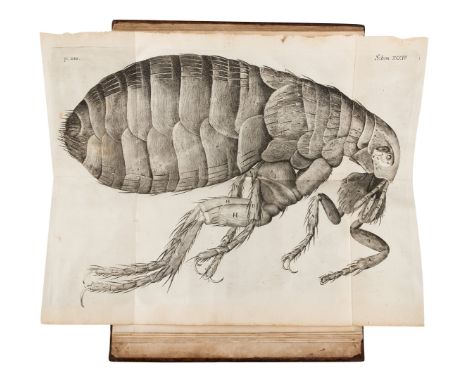 HOOKE, Robert (1635-1702). &nbsp; Micrographia: Or Some Psychological Descriptions of Minute Bodies Made by Magnifying Glasse