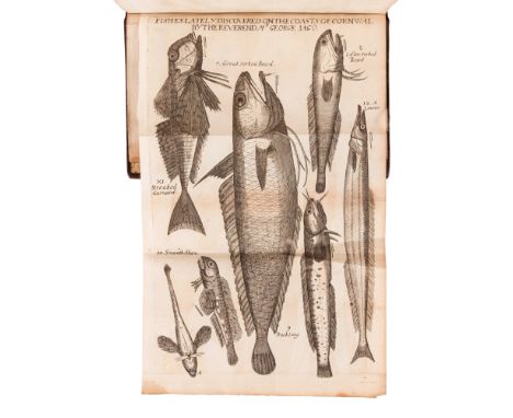 RAY, John (1628-1705). Synopsis Methodica Avium &amp; Piscium. London: William Innys, 1713. &nbsp;2 parts in one volume, 8vo 