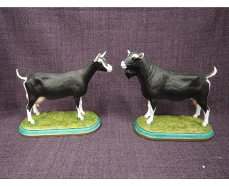 Two hand made ceramic John Stanbridge studies, Alpine Dairy Male and Female Goats, both made for the vendor after 2005 show w
