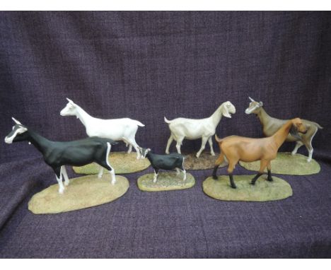 Seven North Light and similar studies, various goats 