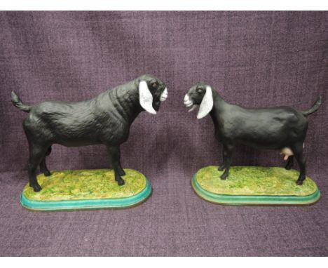 Two hand made ceramic John Stanbridge studies, Nubain Dairy Male and Female Goats, both made for the vendor after 2005 show w