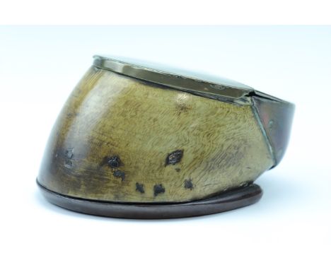 A Victorian horse's shod hoof, brass-mounted to serve as a table snuff or similar box, its hinged lid indistinctly engraved