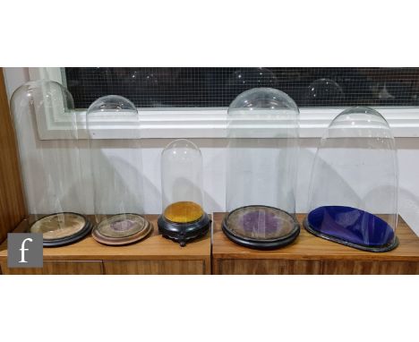 A Victorian style glass display dome with purple base interior, a smaller similar dome, a clock style dome and two other simi