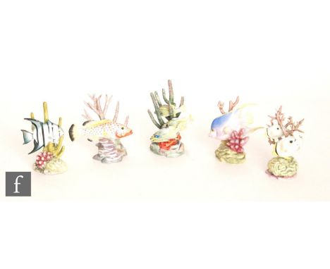 Five Royal Worcester Ronald van Ruyckevelt models of tropical fish comprising Red Hind 3572, Four Eyed Fish 3573, Blue Angel 