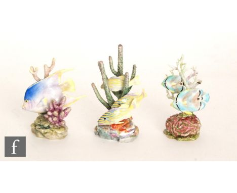 Three Royal Worcester Ronald van Ruyckevelt models of tropical fish comprising Four Eyed Fish 3573, Blue Angel 3574 and Yello