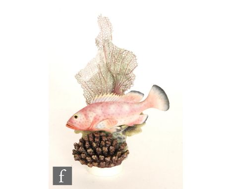 A Royal Worcester Ronald van Ruyckevelt model of a tropical fish titled Red Hind (epinephelus guttatus), numbered 152 to the 