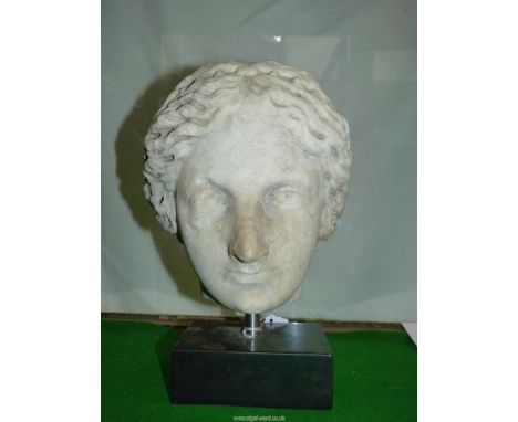 A Roman carved marble portrait head of a woman, 1st century AD, her hair braided in the Julio-Claudian style and bound with a