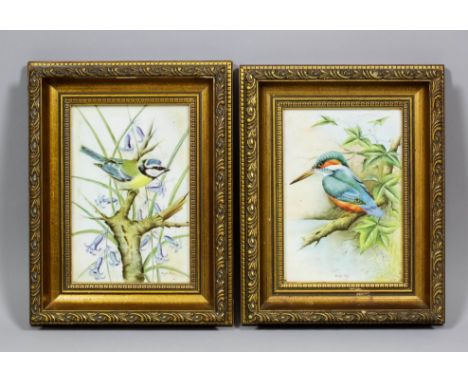 A pair of royal Worcester bone china plaques painted by Bryan Cox - Kingfisher and Blue Tit, each 7ins x 5ins, both signed, i