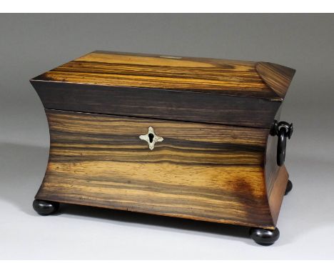 An early Victorian coromandel two division tea caddy with incurved sides and domed top, ebonised ring handles and bun feet, 1