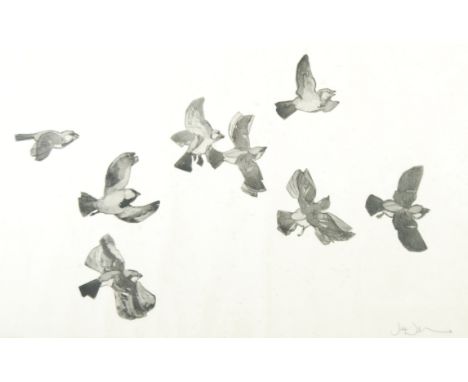 JULIEN WILLIAMS (20TH CENTURY) ARTIST SIGNED BLACK AND WHITE PRINT Eight birds in flight 19 1/4" x 30 3/4" (49cm x 78.1cm) JO