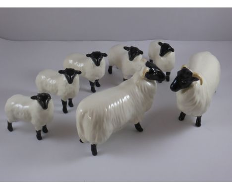 BESWICK SHEEP GROUP AF INC. 2 BLACK FACED EWES AND 5 MISC. LAMBS