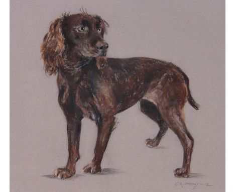 C A Sharpley,coloured pastels, portrait of a dog, signed, 15" x 16", framed.
