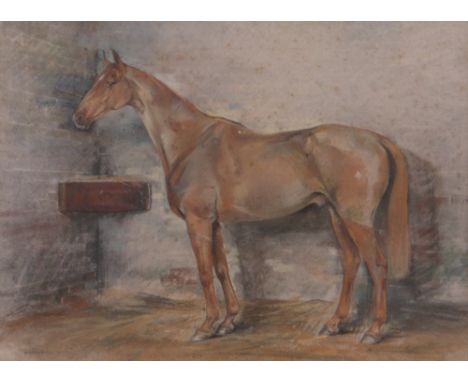 A MacKinnon,coloured pastels, portrait of a horse "Camouflage," signed, 14" x 19", framed.