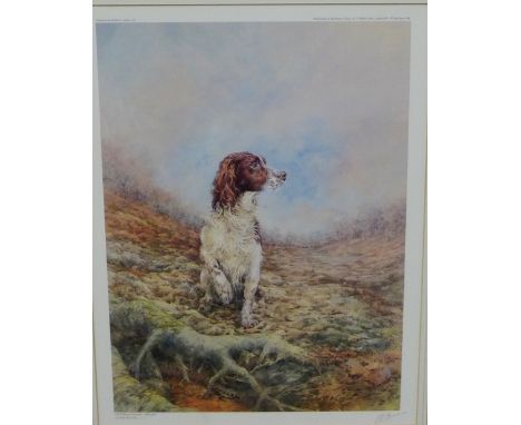 Ian Oates  Limited edition coloured print of a Gundog, in a glazed frame, 32 x 43cm 