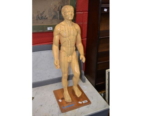 A Seirin acupuncture mannequin 