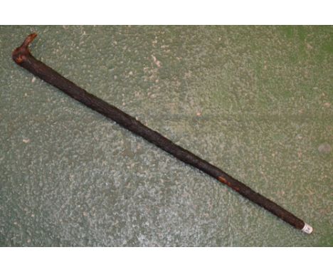 A 19th century root wood walking stick, brass end cap