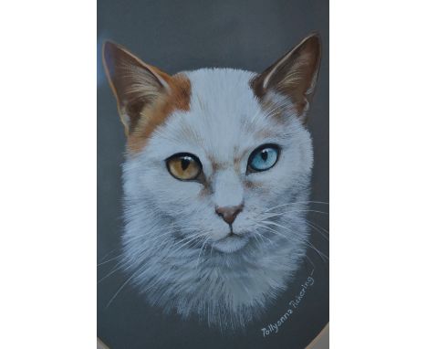 Pollyanna Pickering (Bn.1942)
Portrait of a Cat
signed, watercolour and gouache
