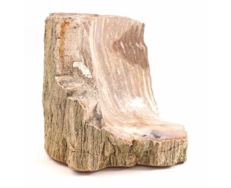 Fragment of a petrified tree trunk, 20 cm high, 22 cm diameter