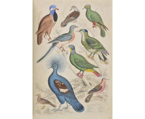 MacGillivray (William). The Edinburgh Journal of Natural History, and of the Physical Sciences, 2 volumes (1835-1839 & 1839-1