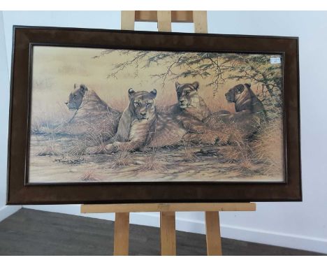 FRAMED PRINT BY KIRK BROOKS 20TH CENTURY depicting lions resting under a tree, signed106cm wide x 63.3cm highQty: 1