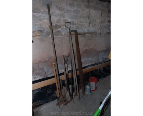 A quantity of Garden Tools including a hoe, a pike fork, a two/man cross-cut Saw, two shovel heads, an edging shears, a poult