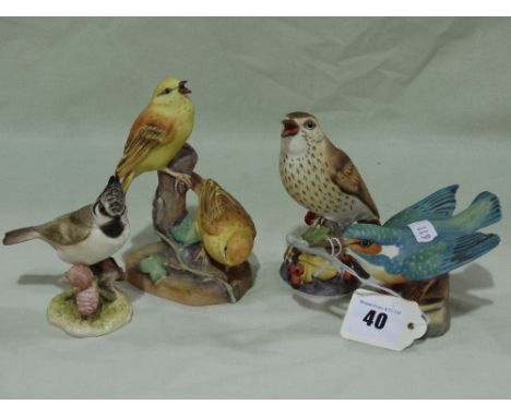 Four Royal Worcester Model Birds