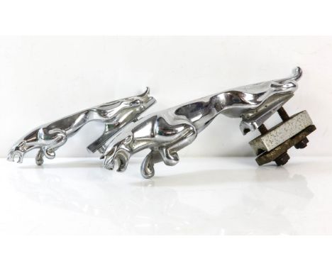 Two Chrome plated Jaguar Car Mascots