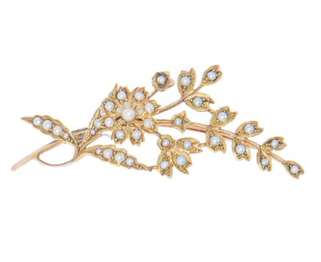 A split pearl spray brooch, early 20th c,&nbsp;in gold marked 15ct, 53mm, 6.4g  Complete and in good condition