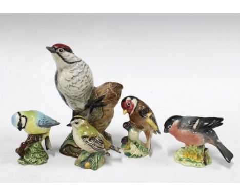 Five Beswick birds to include Lesser Spotted Woodpecker 2420, (5) 15cm. 